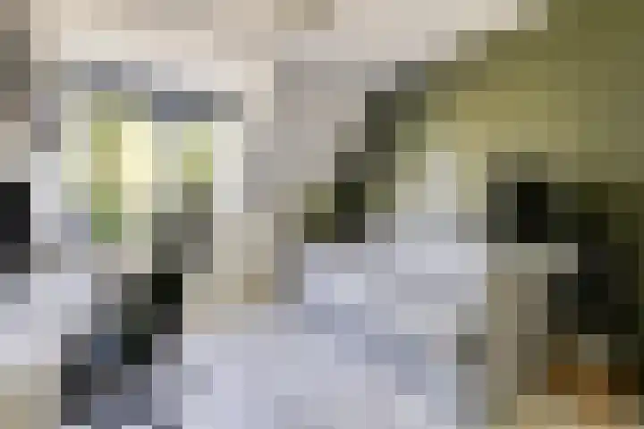 Bovenkruier 9 Harkstede thumbnail 25