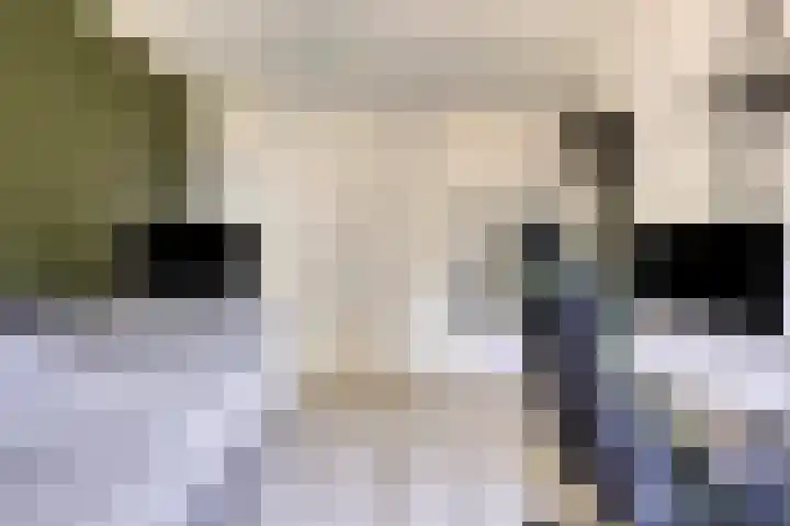 Bovenkruier 9 Harkstede thumbnail 26