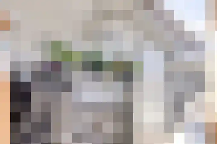 Bovenkruier 9 Harkstede thumbnail 28