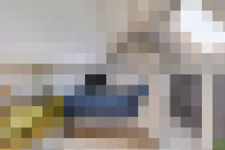 Bovenkruier 9 Harkstede thumbnail 29