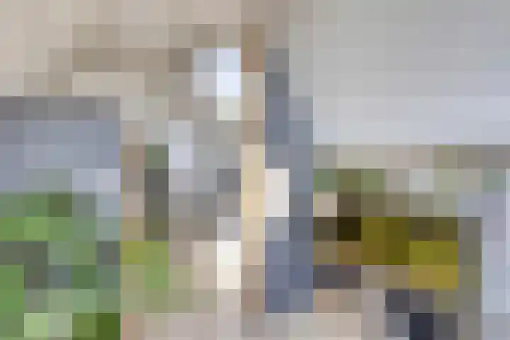 Bovenkruier 9 Harkstede thumbnail 30