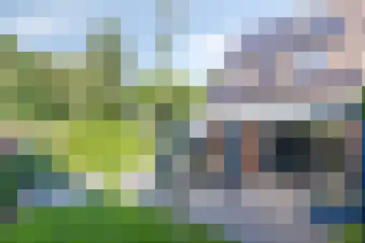 Bovenkruier 9 Harkstede thumbnail 31