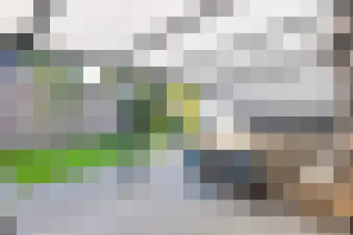 Bovenkruier 9 Harkstede thumbnail 32