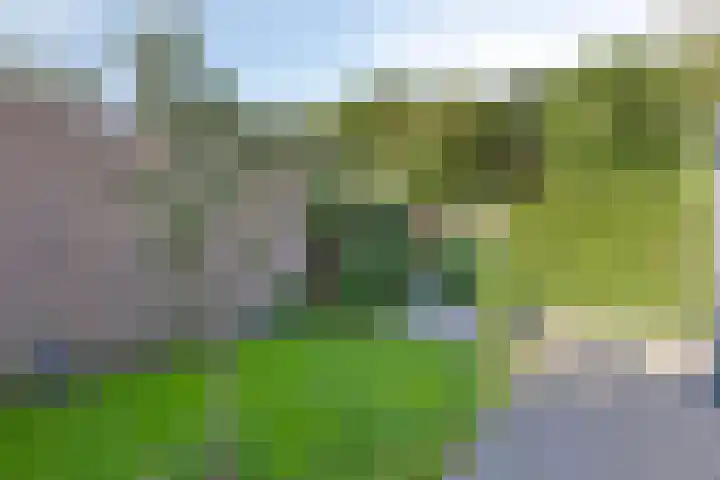 Bovenkruier 9 Harkstede thumbnail 34