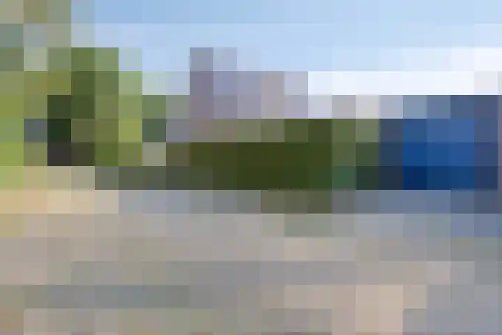 Bovenkruier 9 Harkstede thumbnail 37