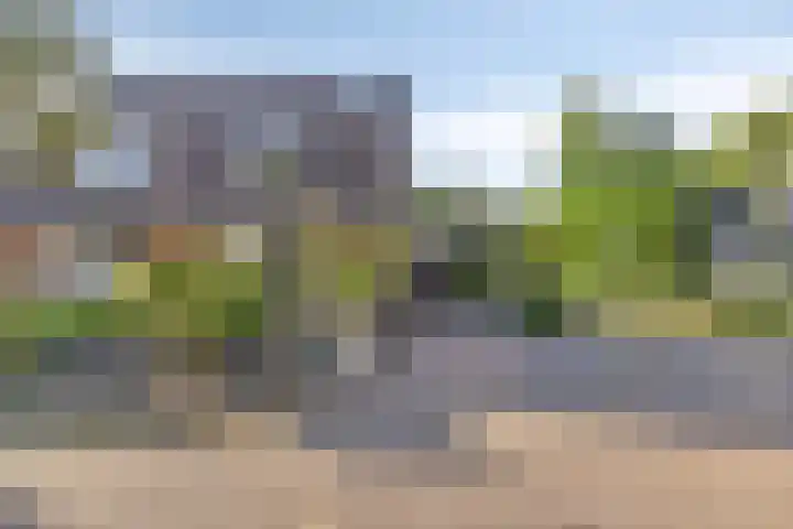 Bovenkruier 9 Harkstede thumbnail 5