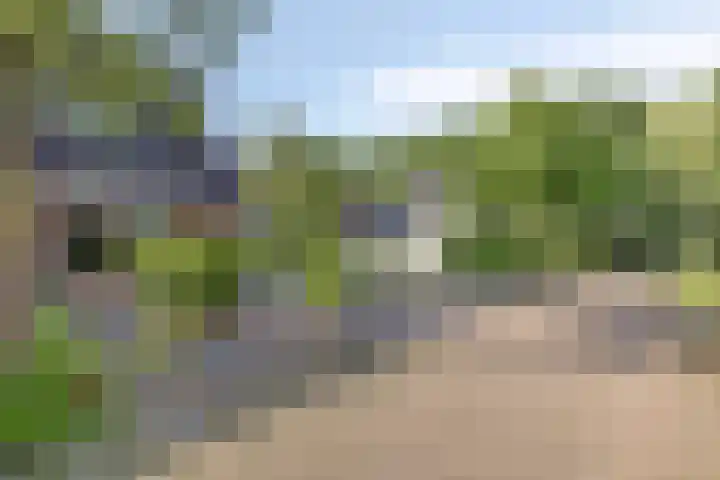 Bovenkruier 9 Harkstede thumbnail 6
