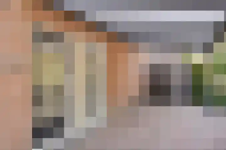Bovenkruier 9 Harkstede thumbnail 8