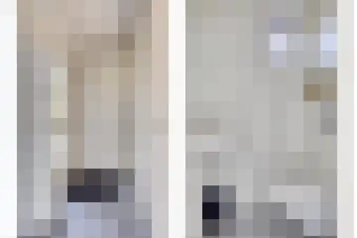 Bovenkruier 9 Harkstede thumbnail 9