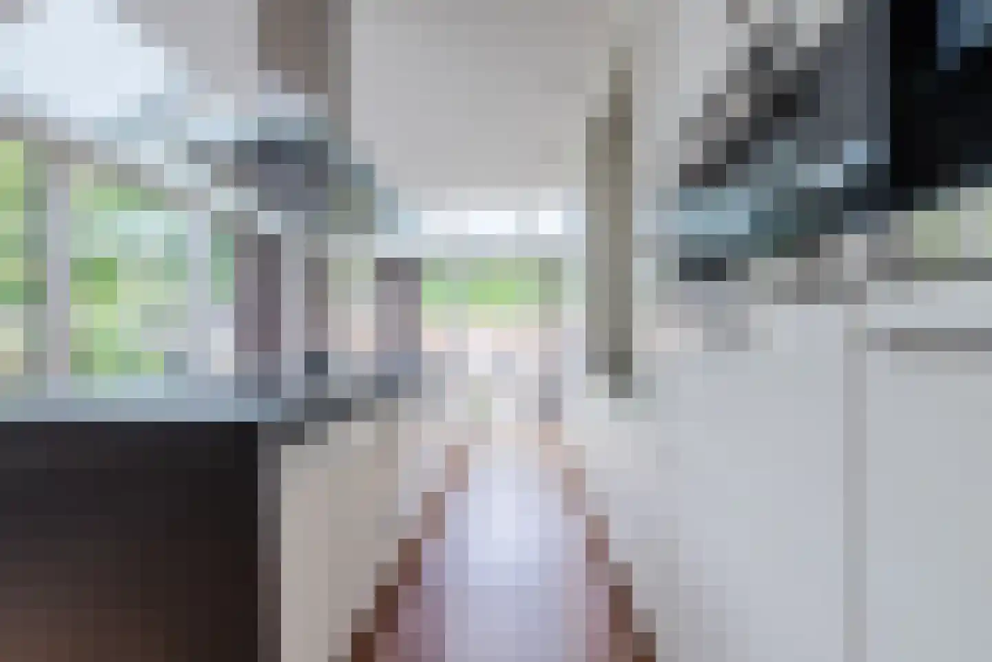Bovenland 19 Geldrop thumbnail 20
