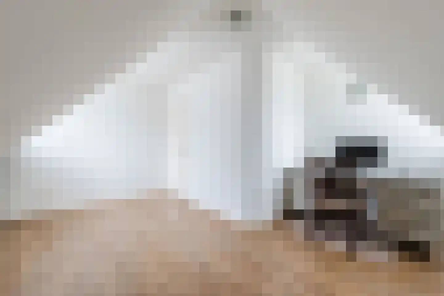 Bovenland 19 Geldrop thumbnail 40