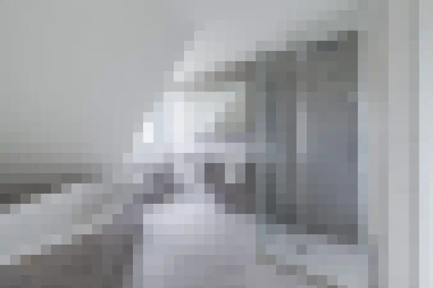 Bovenland 19 Geldrop thumbnail 41