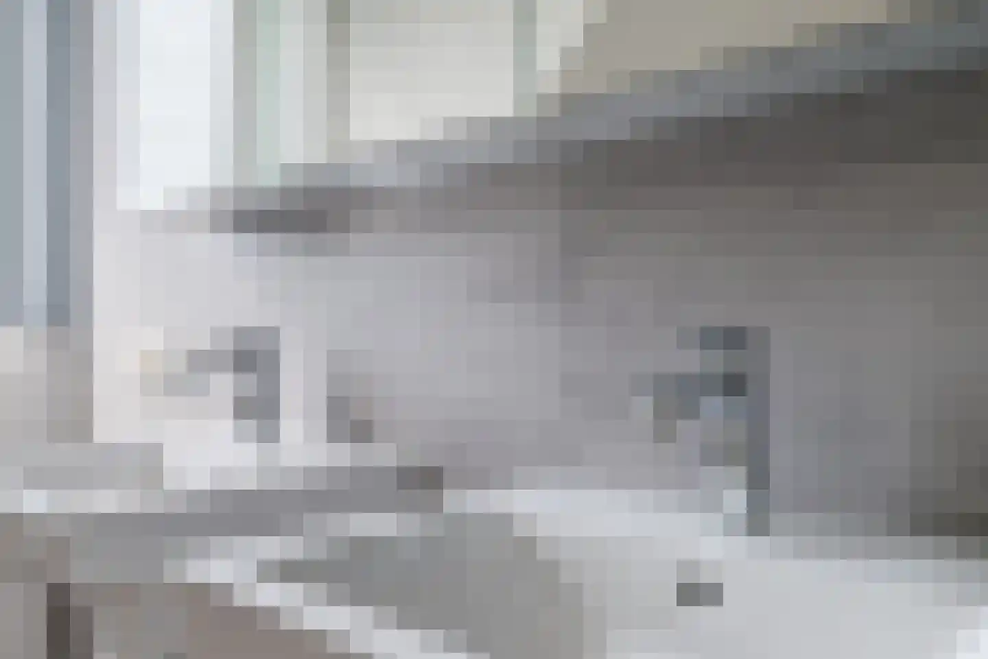 Bovenland 19 Geldrop thumbnail 44