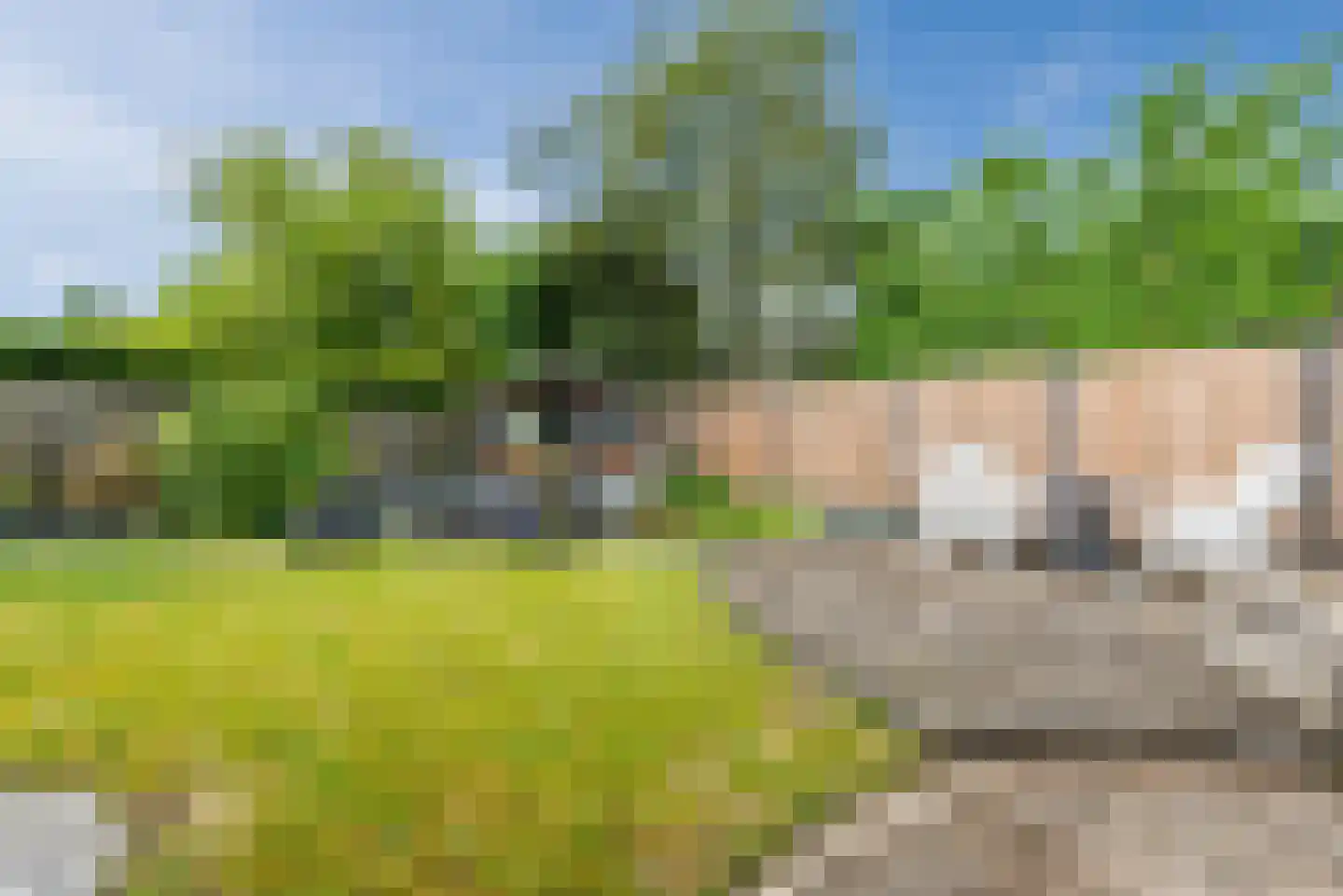 Bovenland 19 Geldrop thumbnail 53