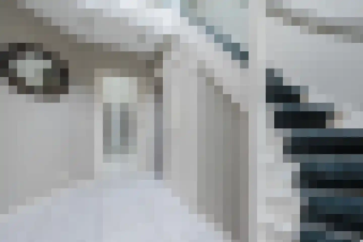Bovenland 19 Geldrop thumbnail 8