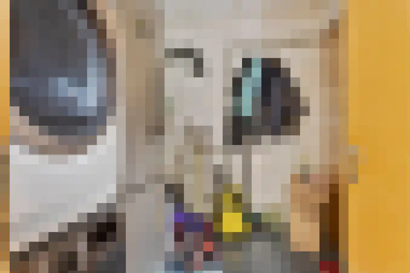 Bovenlanden 16 Blijham thumbnail 21