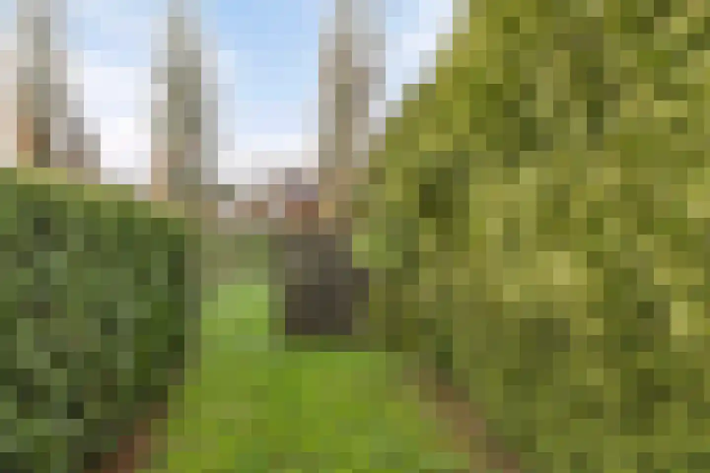 Bovenlanden 16 Blijham thumbnail 39