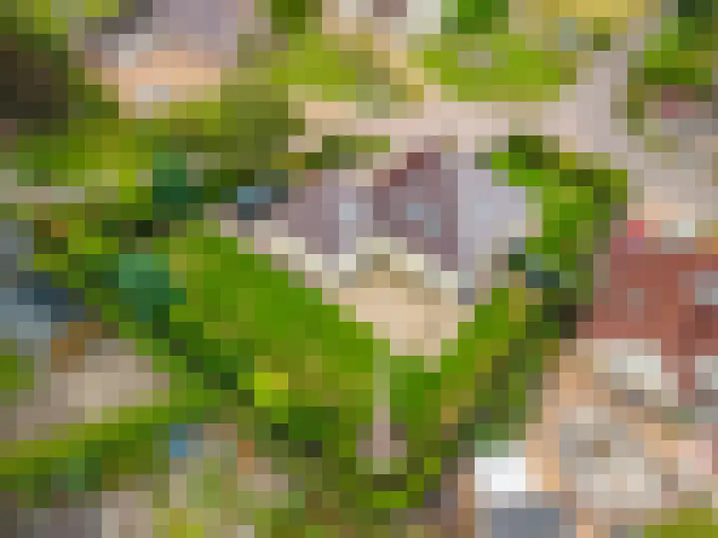 Bovenlanden 24 Blijham thumbnail 14