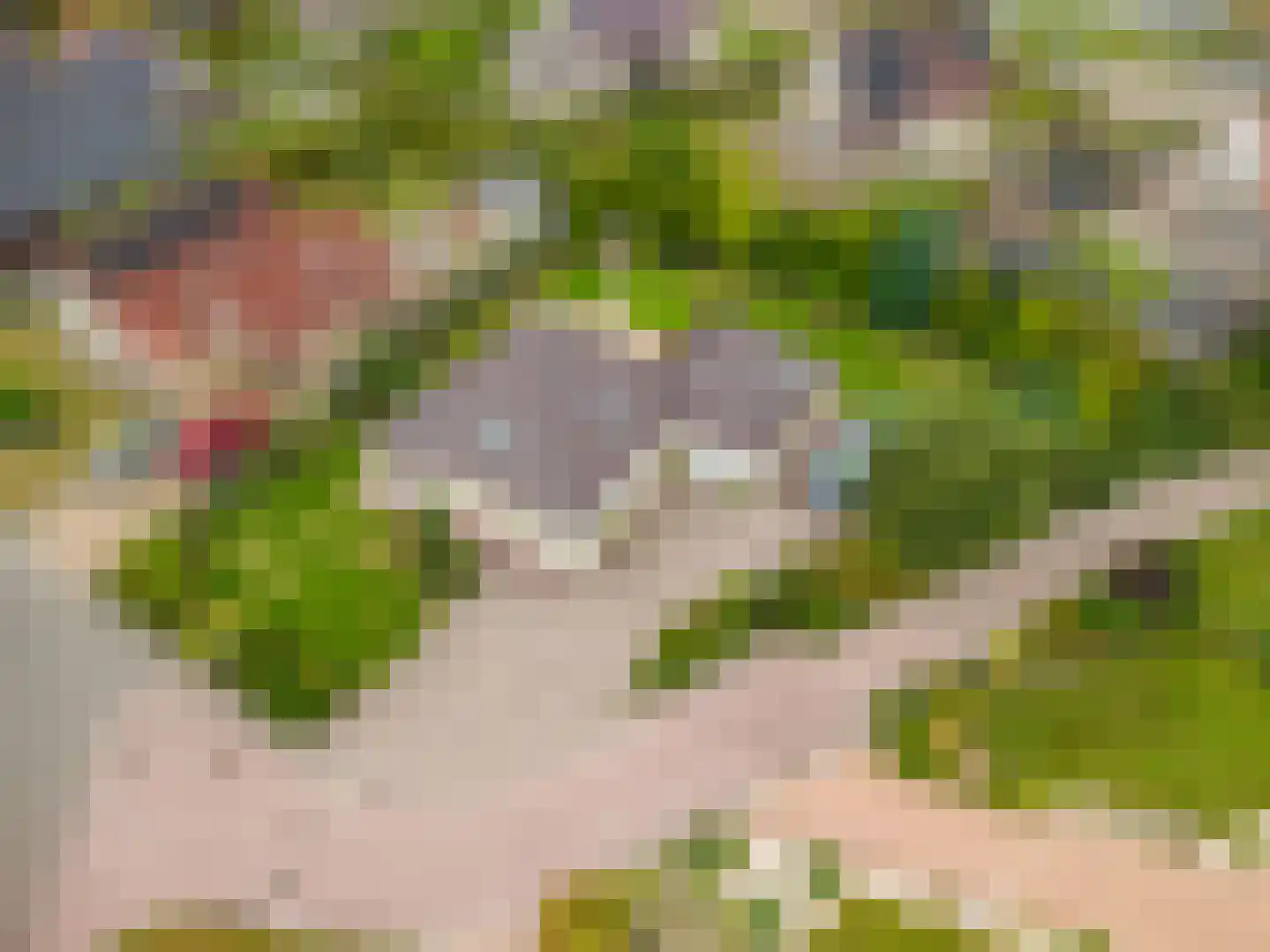 Bovenlanden 24 Blijham thumbnail 24