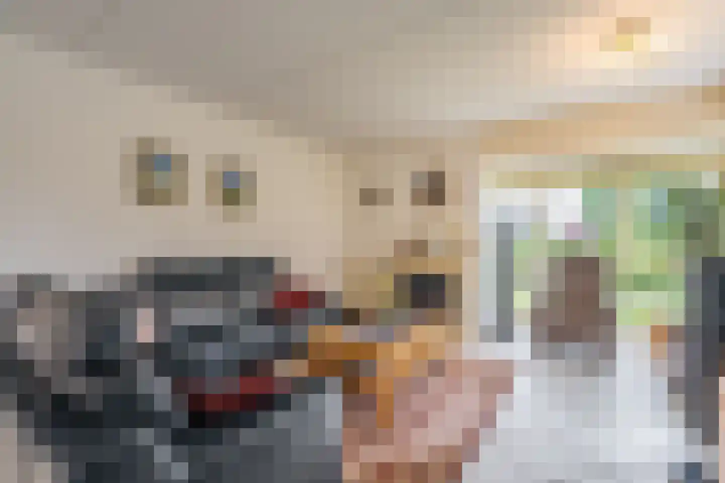 Bovenlanden 24 Blijham thumbnail 29