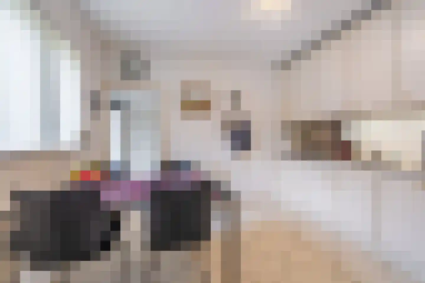 Bovenlanden 24 Blijham thumbnail 36