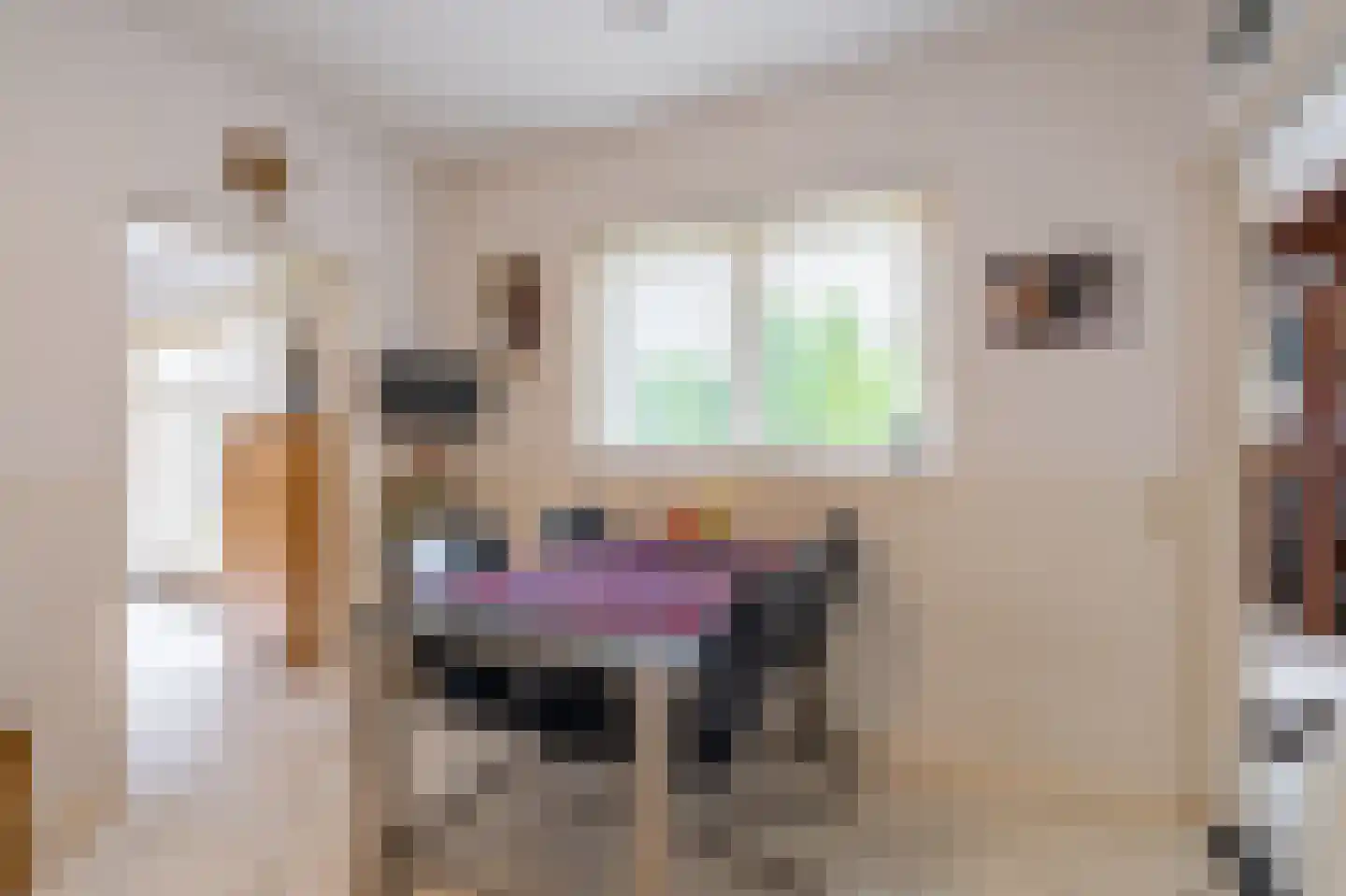 Bovenlanden 24 Blijham thumbnail 37