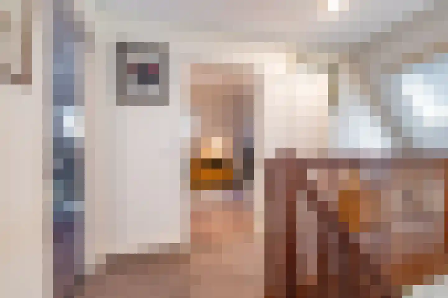 Bovenlanden 24 Blijham thumbnail 56