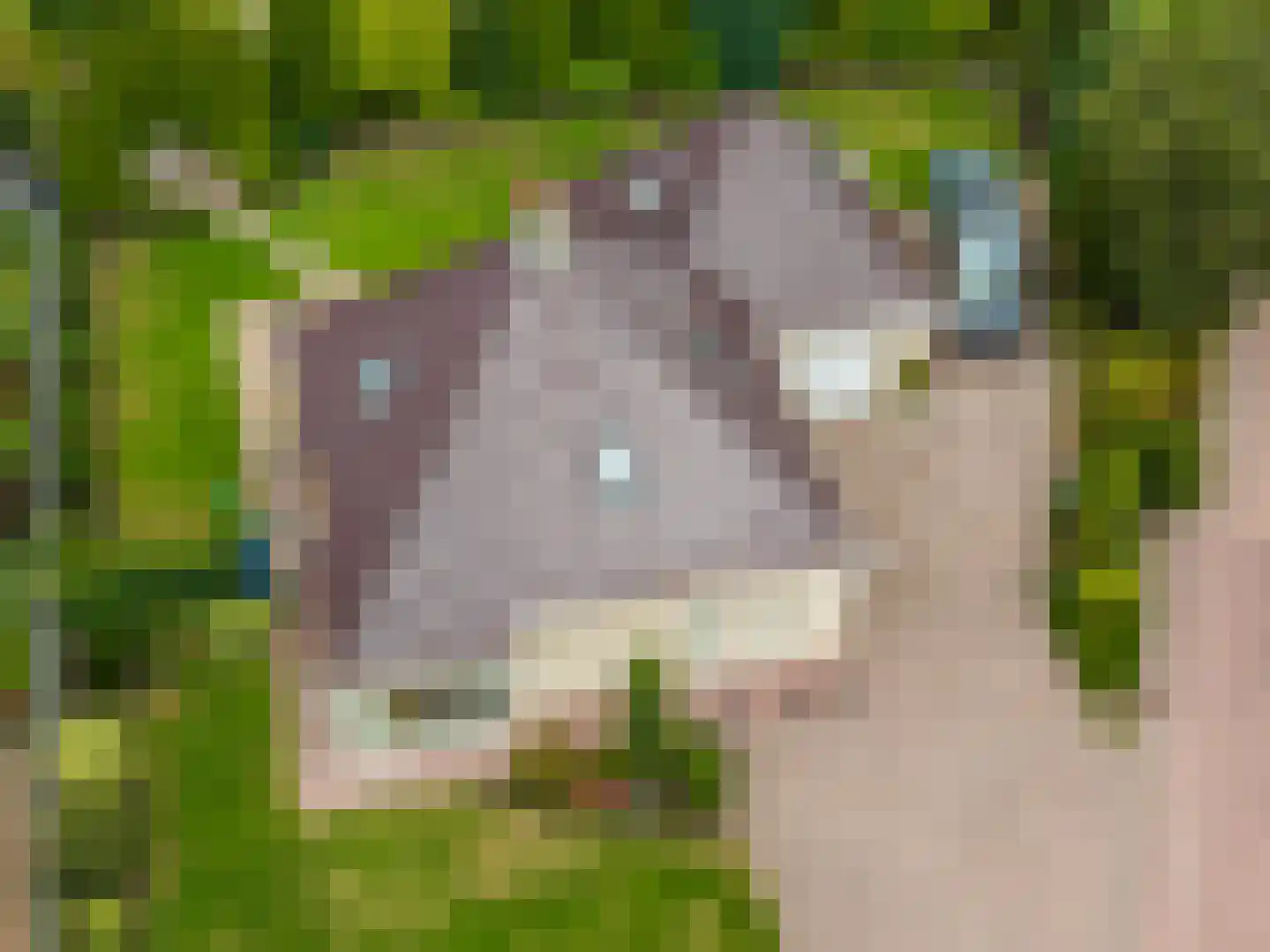 Bovenlanden 24 Blijham thumbnail 6
