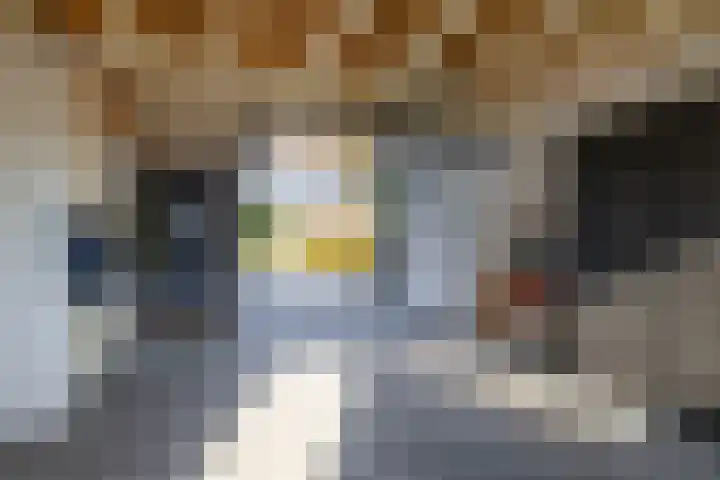 Bovenlanden 50 Blijham thumbnail 24