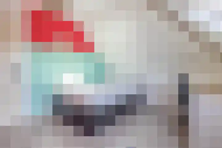 Bovenlanden 50 Blijham thumbnail 33