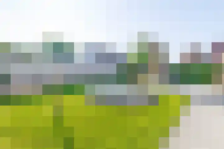Bovenlanden 50 Blijham thumbnail 35