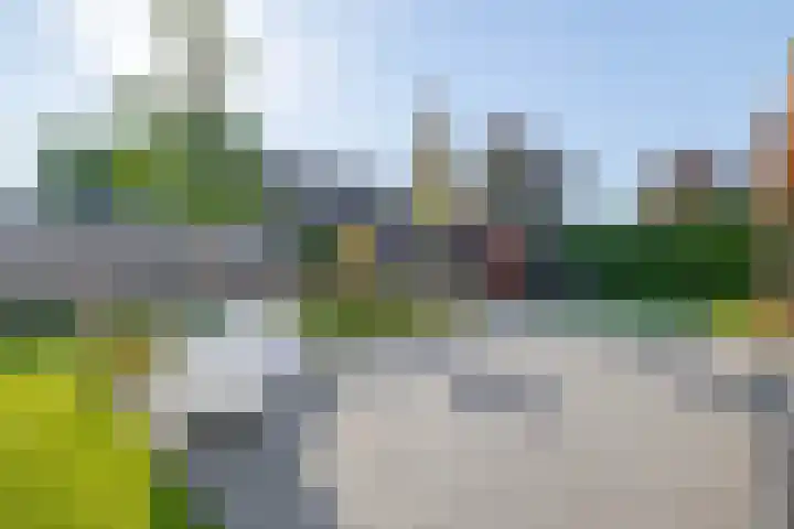 Bovenlanden 50 Blijham thumbnail 36