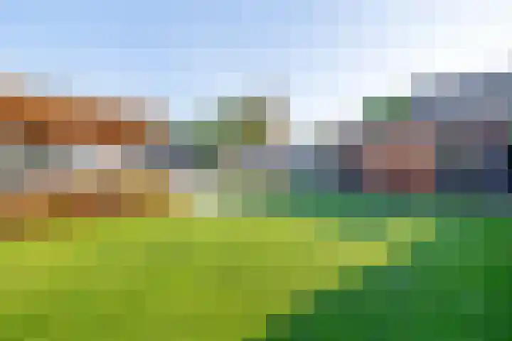 Bovenlanden 50 Blijham thumbnail 37