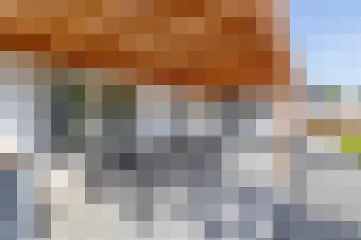 Bovenlanden 50 Blijham thumbnail 38