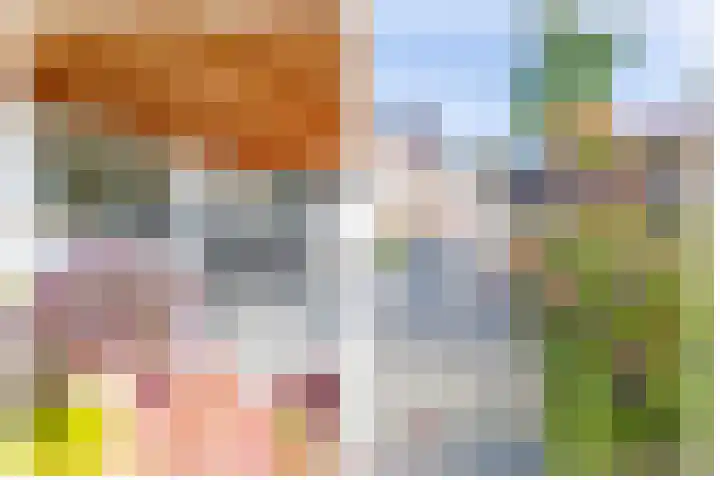 Bovenlanden 50 Blijham thumbnail 40