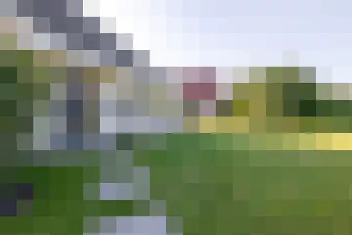 Bovenlanden 50 Blijham thumbnail 42