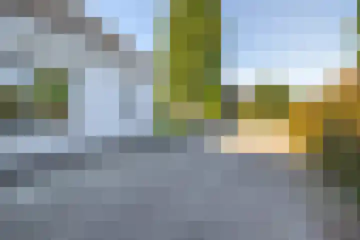 Bovenlanden 50 Blijham thumbnail 43