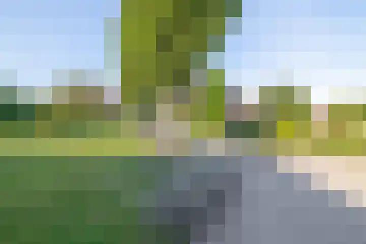 Bovenlanden 50 Blijham thumbnail 44