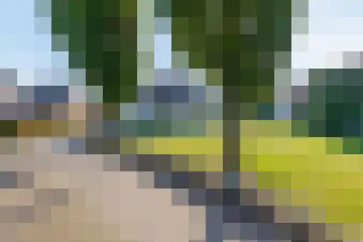 Bovenlanden 50 Blijham thumbnail 45