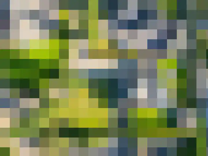 Bovenlanden 50 Blijham thumbnail 47
