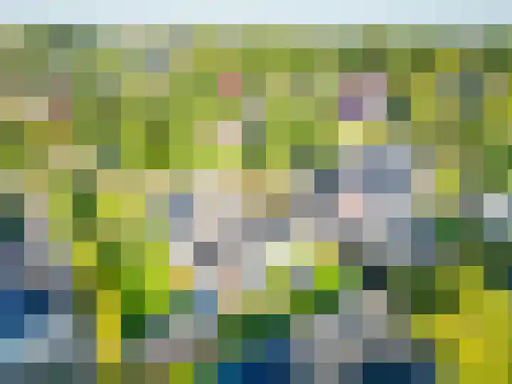 Bovenlanden 50 Blijham thumbnail 48