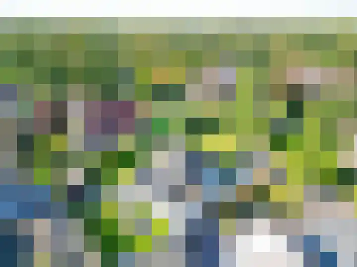 Bovenlanden 50 Blijham thumbnail 49