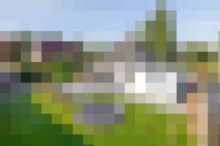 Bovenlanden 50 Blijham thumbnail 5
