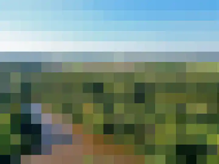 Bovenlanden 50 Blijham thumbnail 50