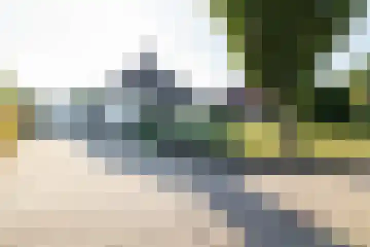Bovenlanden 50 Blijham thumbnail 6