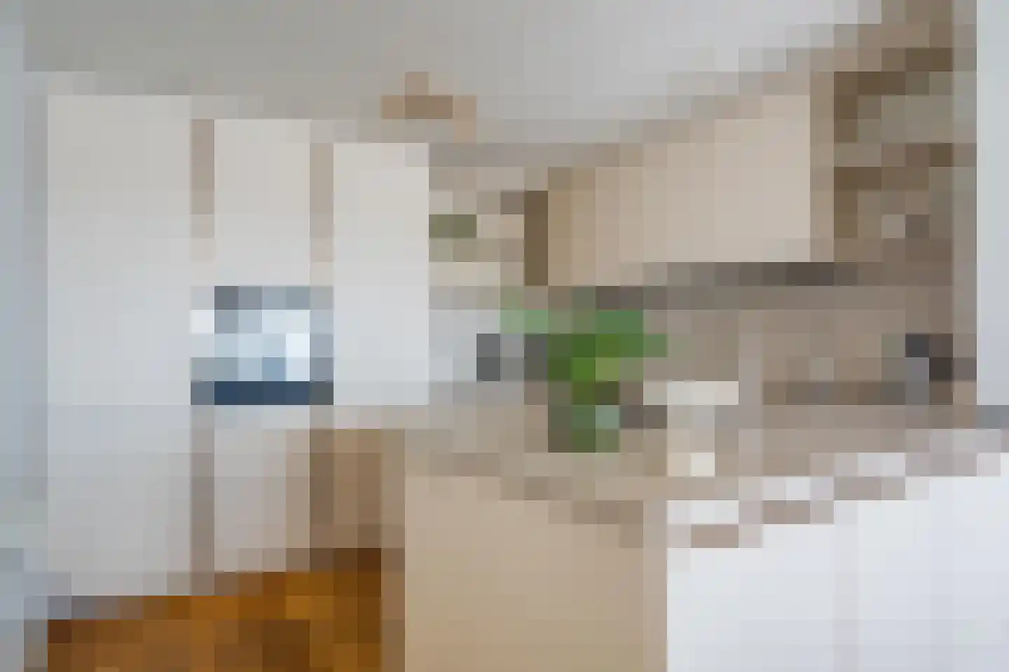 Bovenlanden 55 Blijham thumbnail 4