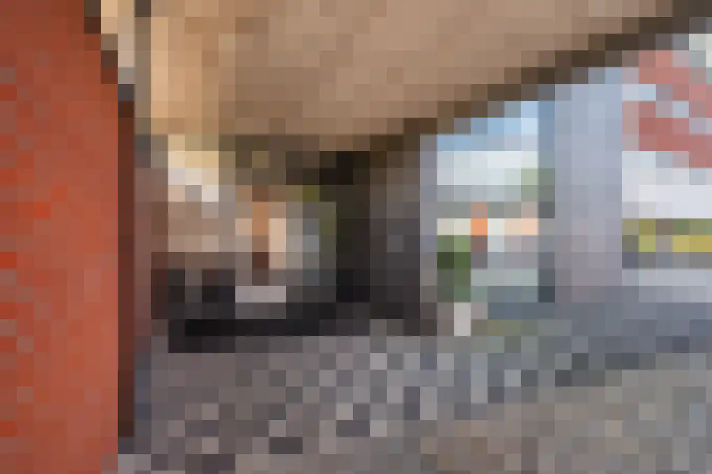 Bovenlanden 55 Blijham thumbnail 48