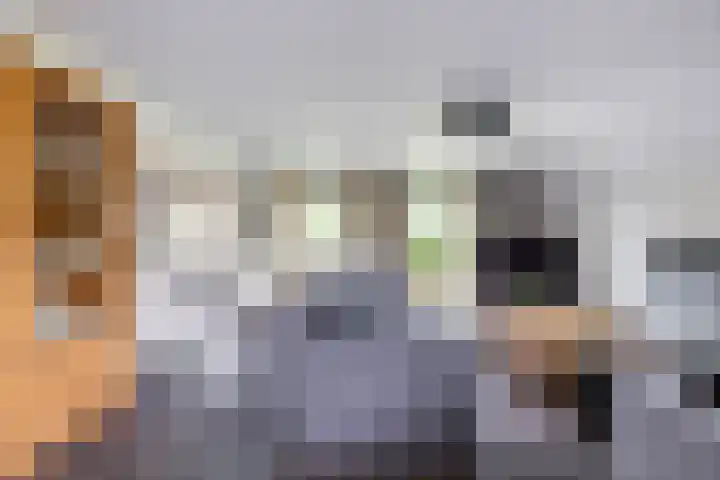 Bovenlanden 9 Blijham thumbnail 13
