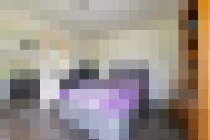Bovenlanden 9 Blijham thumbnail 17