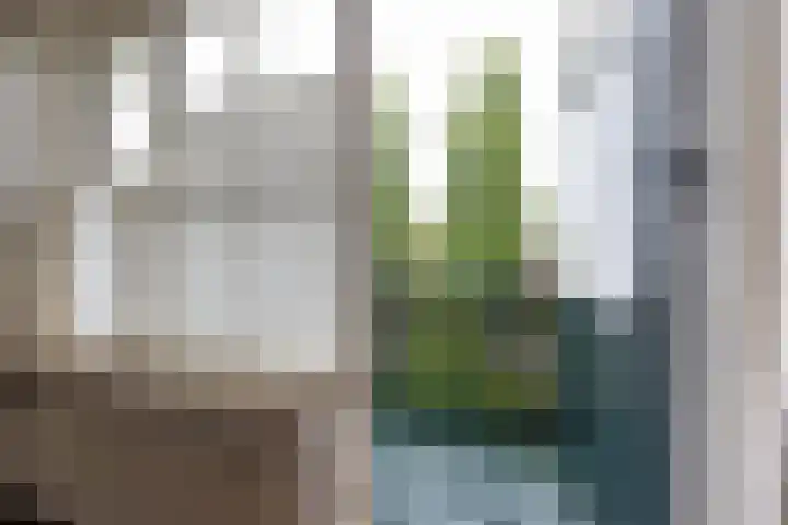 Bovenlanden 9 Blijham thumbnail 38